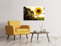Leinwandbild Sonnenblume im Sonnenaufgang