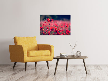 Leinwandbild Im Mohn Feld