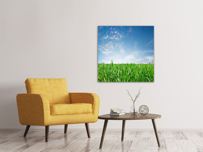 Leinwandbild Das Gras