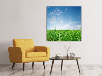 Leinwandbild Das Gras