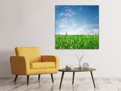 Leinwandbild Das Gras
