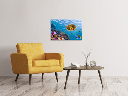 Leinwandbild Die Wasserschildkröte