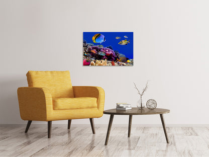 Leinwandbild Welt der Fische