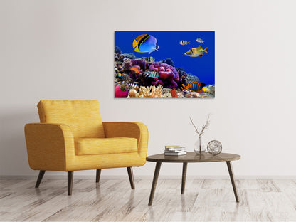 Leinwandbild Welt der Fische