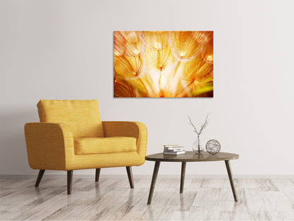 Leinwandbild Close Up Pusteblume im Licht