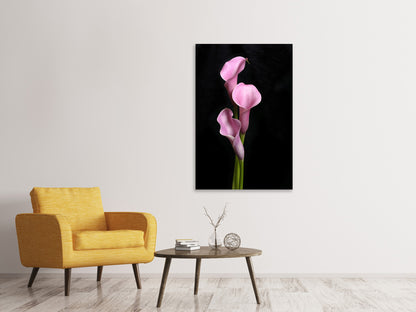 Leinwandbild 3 Lila-Callas