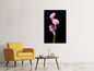 Leinwandbild 3 Lila-Callas