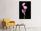 Leinwandbild 3 Lila-Callas
