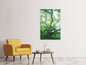Leinwandbild Der alte Baum