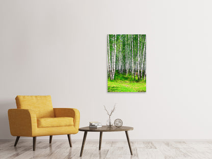Leinwandbild Der Birkenwald im Sommer