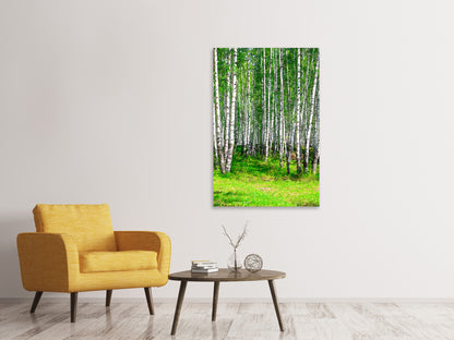 Leinwandbild Der Birkenwald im Sommer