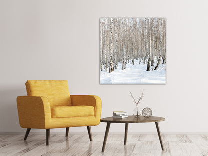 Leinwandbild Birkenwald-Spuren im Schnee