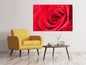 Leinwandbild Rote Rose im Morgentau