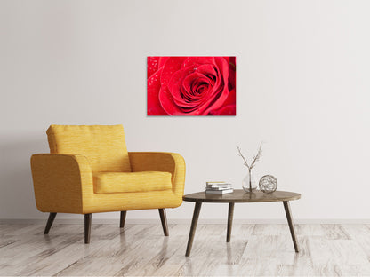 Leinwandbild Rote Rose im Morgentau