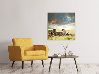 Leinwandbild Geparden