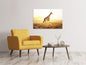 Leinwandbild Die Giraffe