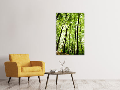 Leinwandbild Wald