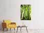 Leinwandbild Wald