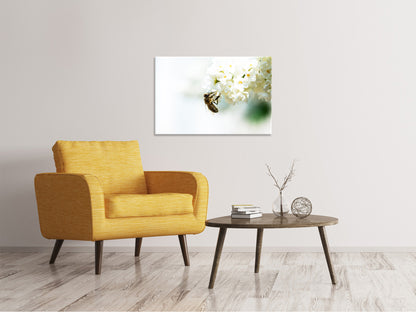 Leinwandbild Die Hummel und die Blüte