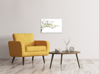Leinwandbild Weisse Orchideen
