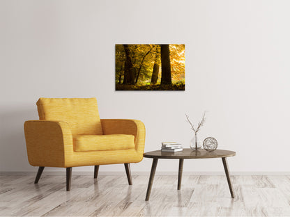 Leinwandbild Herbstlaub
