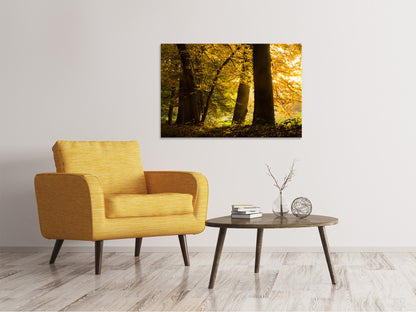 Leinwandbild Herbstlaub
