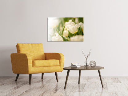 Leinwandbild Tulpenperspektive