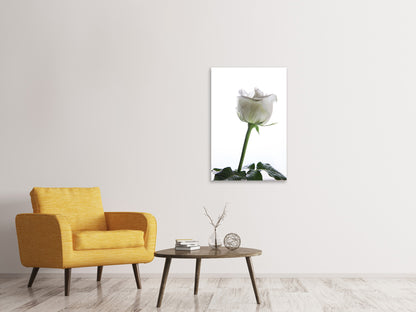 Leinwandbild Im Namen der Rose
