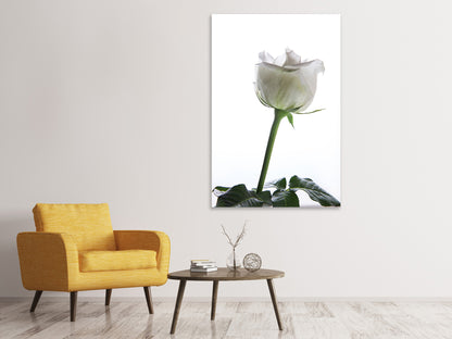 Leinwandbild Im Namen der Rose