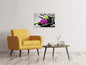 Leinwandbild Feng-Shui-Orchidee