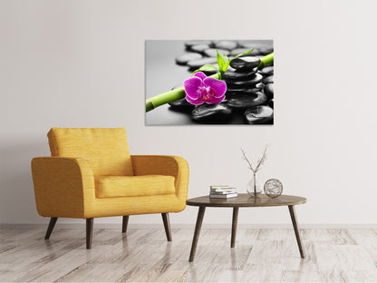 Leinwandbild Feng-Shui-Orchidee