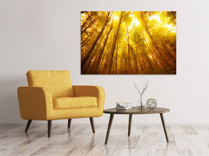Leinwandbild Herbstwald