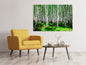 Leinwandbild Sommerlicher Birkenwald