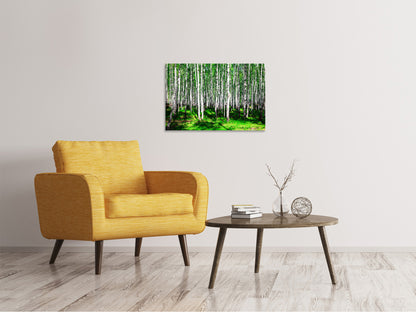 Leinwandbild Sommerlicher Birkenwald