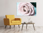 Leinwandbild Pastellrose