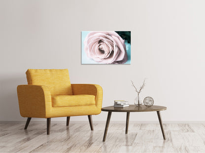 Leinwandbild Pastellrose