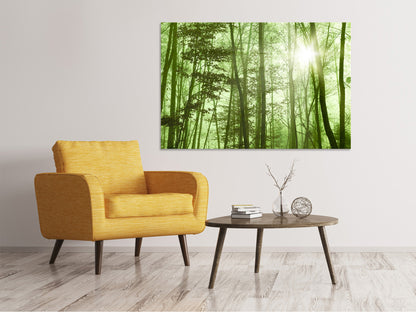 Leinwandbild Nibelungenwald