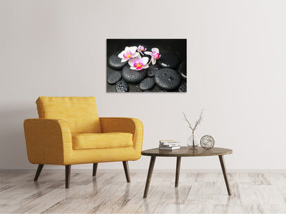 Leinwandbild Feng-Shui-Orchidee Zen
