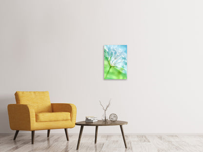 Leinwandbild Makroaufnahme Pusteblume
