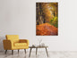 Leinwandbild Laubwald im Herbstlicht