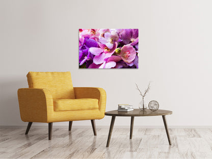 Leinwandbild Im Orchideenparadies