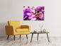 Leinwandbild Im Orchideenparadies