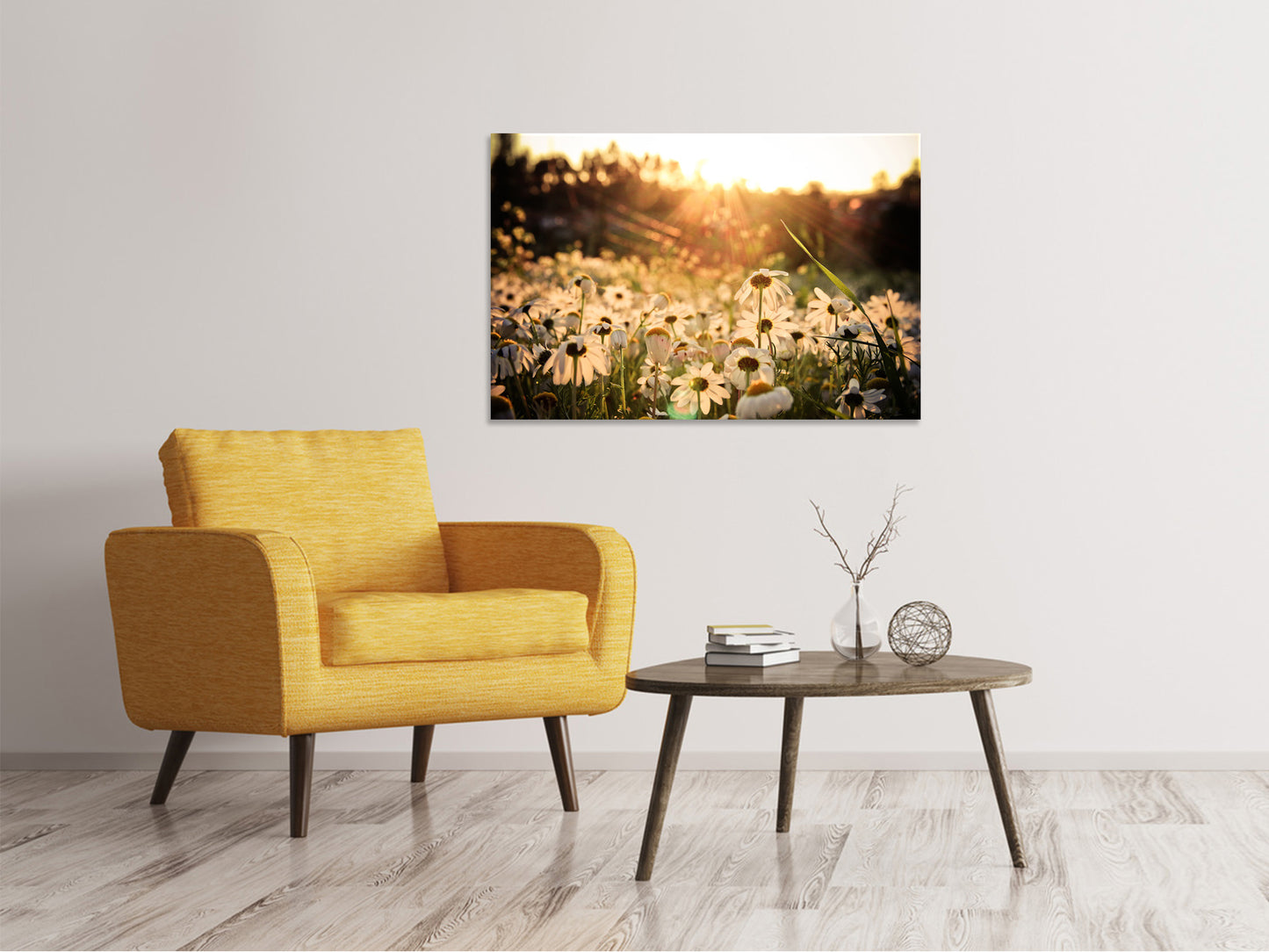 Leinwandbild Gänseblümchen bei Sonnenuntergang