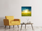 Leinwandbild Sonnenblumen in der Abendsonne