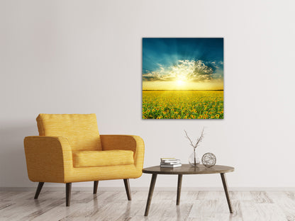 Leinwandbild Sonnenblumen in der Abendsonne