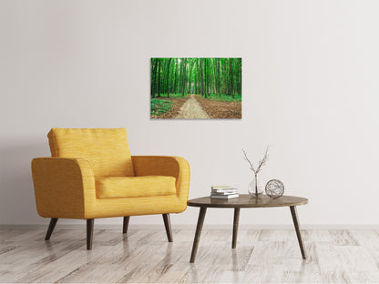 Leinwandbild Tannenwald