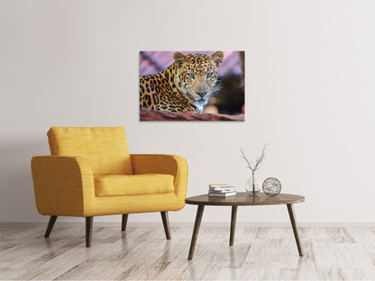 Leinwandbild Leopard