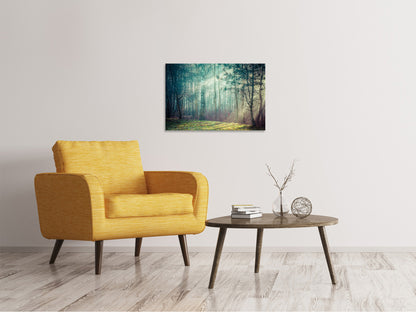 Leinwandbild Pinienwald