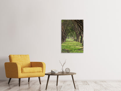 Leinwandbild Im Forstwald