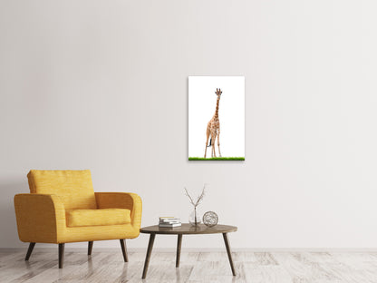 Leinwandbild Die lange Giraffe